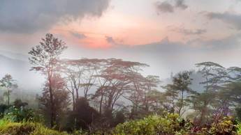 Description: http://livewithyoga.com/wp-content/uploads/2021/12/1-1024x576.jpg